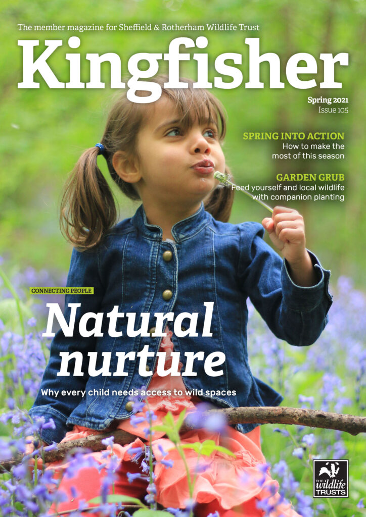 Kingfisher Magazine Cover featuring a little girl sat in a meadow blowing a dandelion, with the headline 'Natural Nurture', Issue 105, Spring 2021