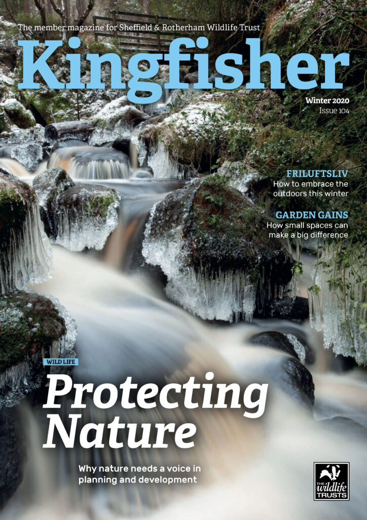 Kingfisher Magazine Cover featuring a large image of a stunning waterfall at Wyming Brook, with the headline 'Protecting Nature', Issue 104, Winter 2020