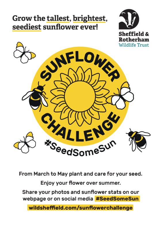 Sunflower Challenge Poster