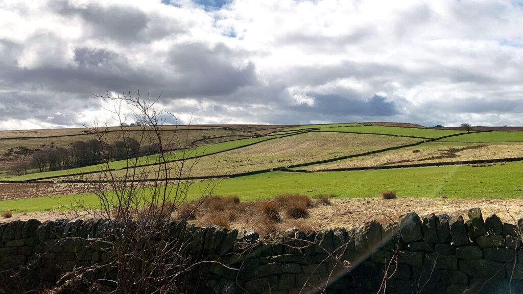 View over Ughill Farm, photo by Alison Gardner