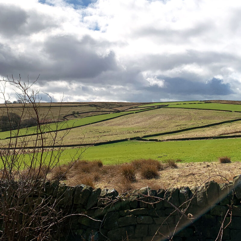 View over Ughill Farm, photo by Alison Gardner