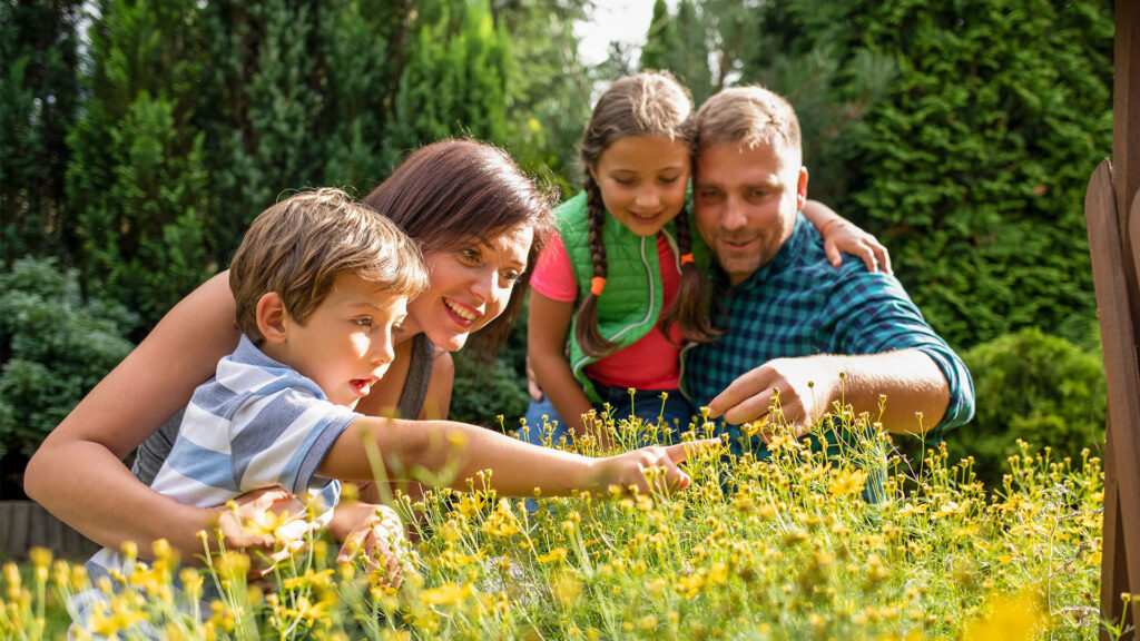 Happy family looking at flowers in garden on a sunny day by leszekglasner / Envato Elements