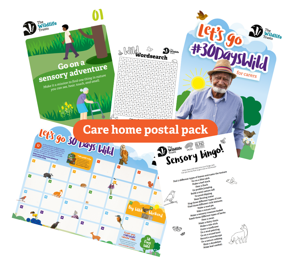 30 Days Wild Care Homes Postal Pack