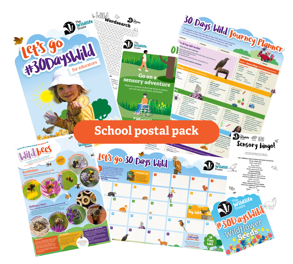 30 Days Wild Schools Postal Pack