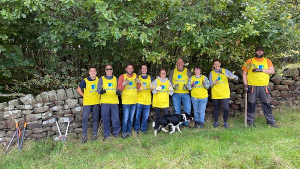 Staff from Aviva take part in a Wild Work Day