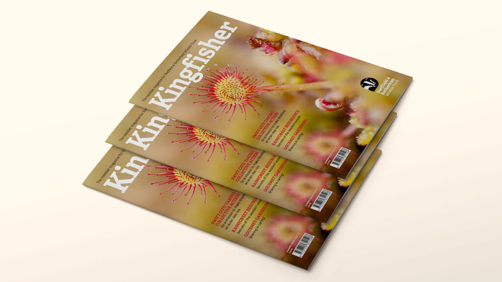 Kingfisher Magazine: Summer 2023 issue