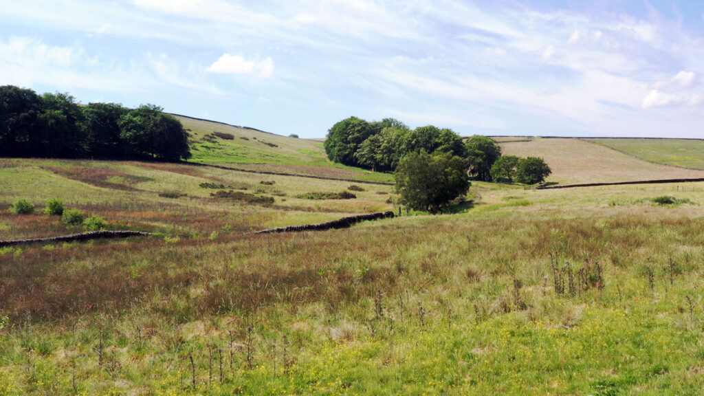 View over Ughill Farm, Sheffield. Photo: James Hargreaves