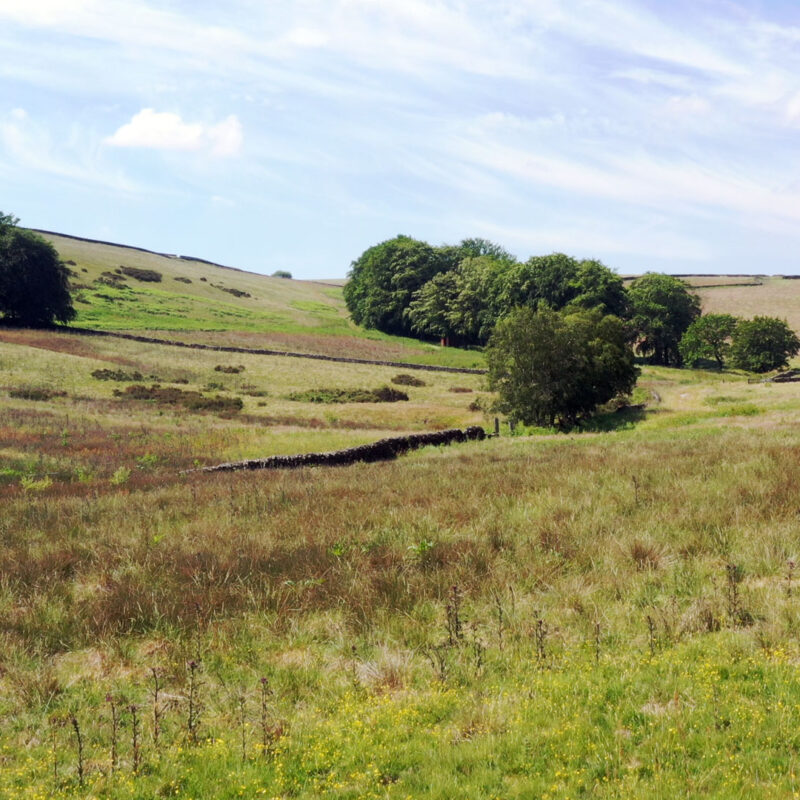 View over Ughill Farm, Sheffield. Photo: James Hargreaves
