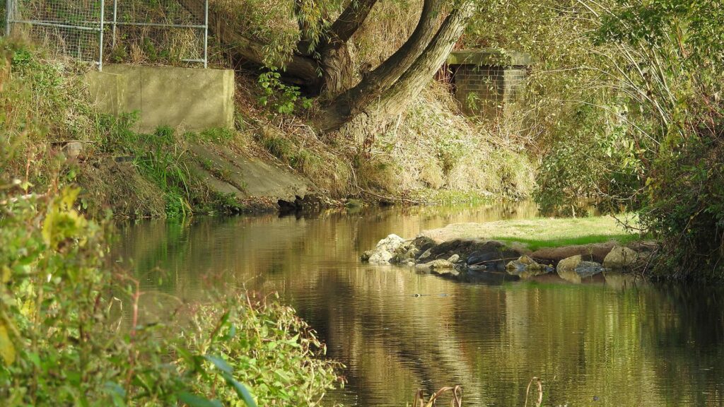 River Rother following restoration work