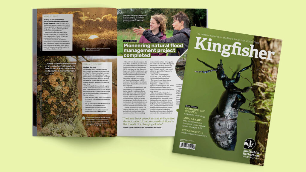 Kingfisher Magazine: Winter 2023 issue
