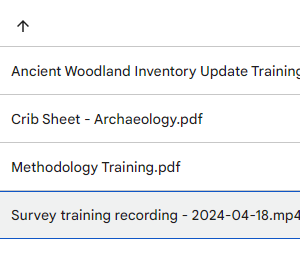 Screenshot of several files, which are slides and recordings of previous training sessions