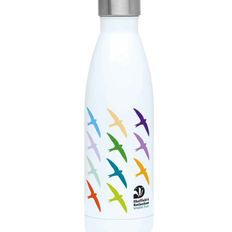 Swift Screaming Party 500ml Water Bottle - Image 3