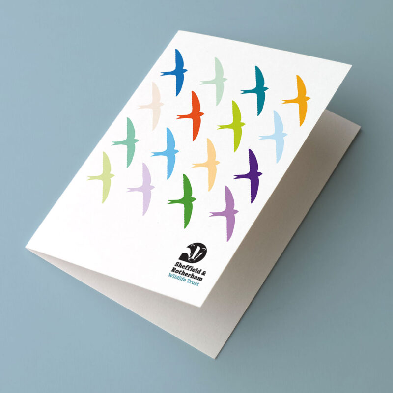 Swift Screaming Party Greetings Card