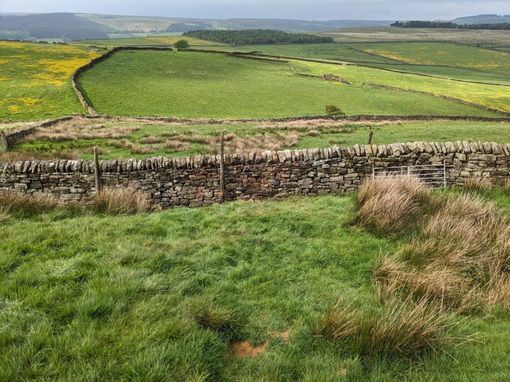View over Wet Shaw Dike at Ughill Farm -Photo by Dave Hall