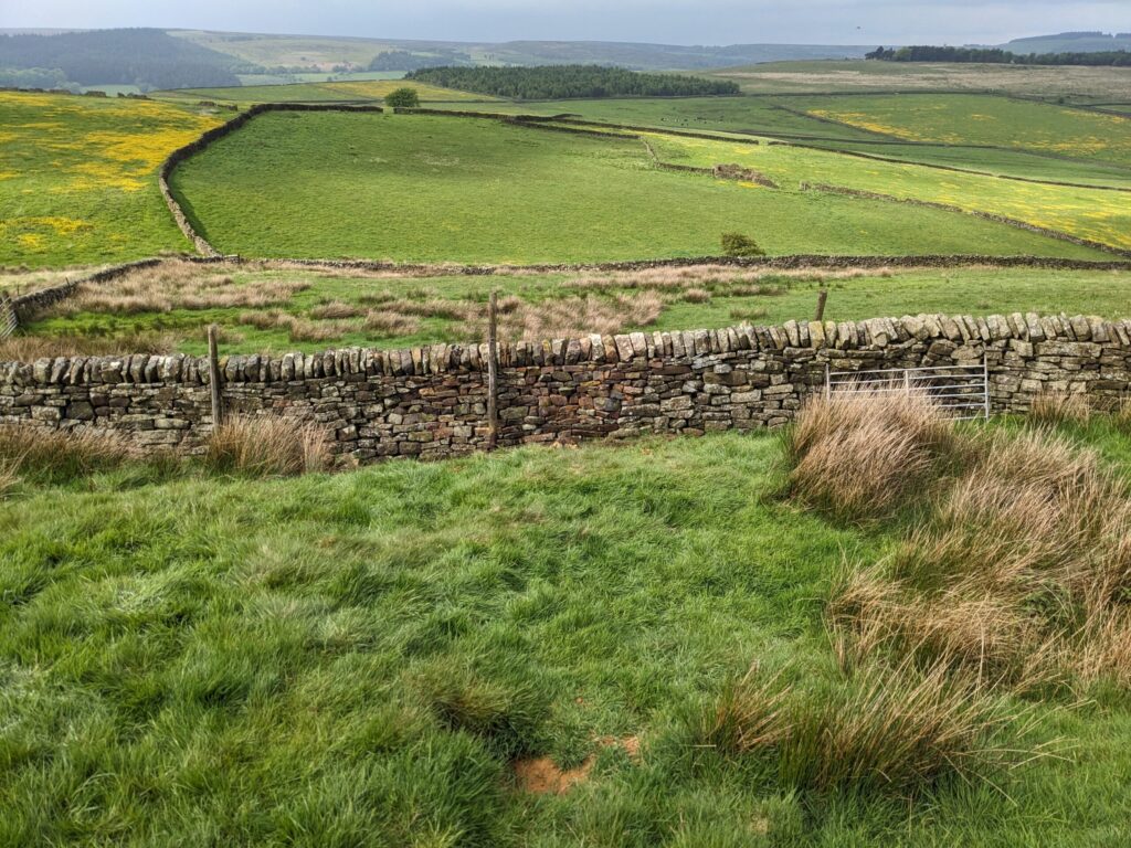 View over Wet Shaw Dike at Ughill Farm -Photo by Dave Hall