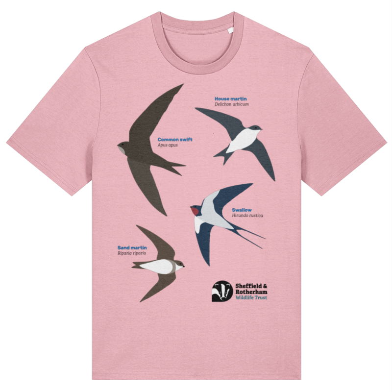 Swifts, Swallows and Martins Premium Organic T-Shirt - Image 3