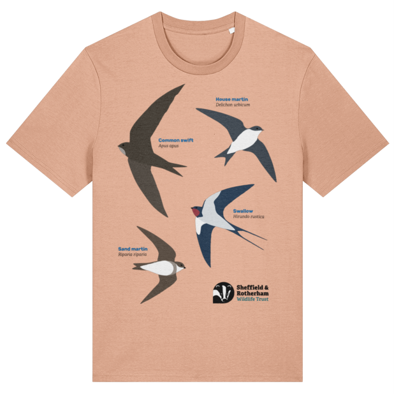 Swifts, Swallows and Martins Premium Organic T-Shirt - Image 4