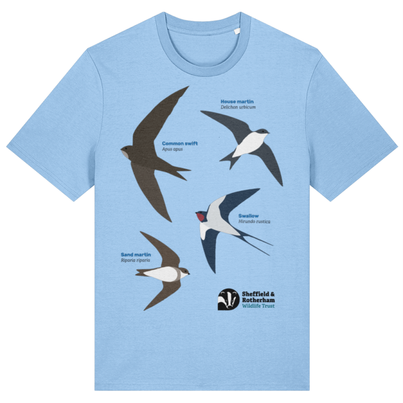 Swifts, Swallows and Martins Premium Organic T-Shirt