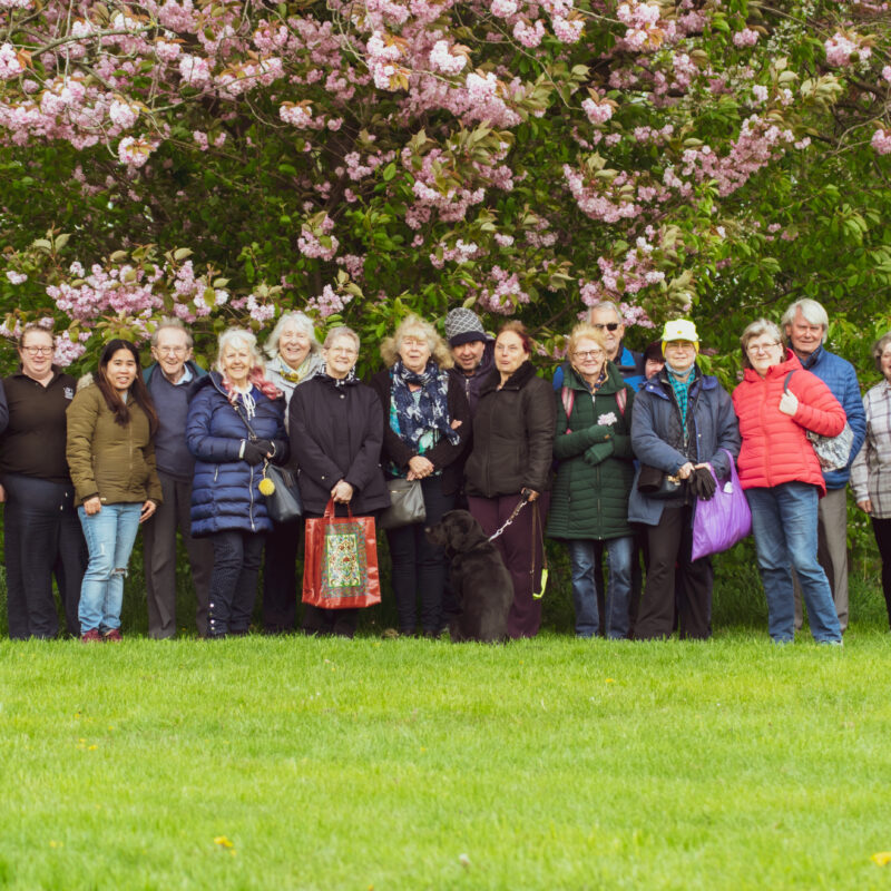 Wild at heart group on a butterflies session