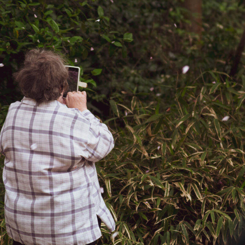 A Wild at Heart Participant is taking a photo of a butterfly