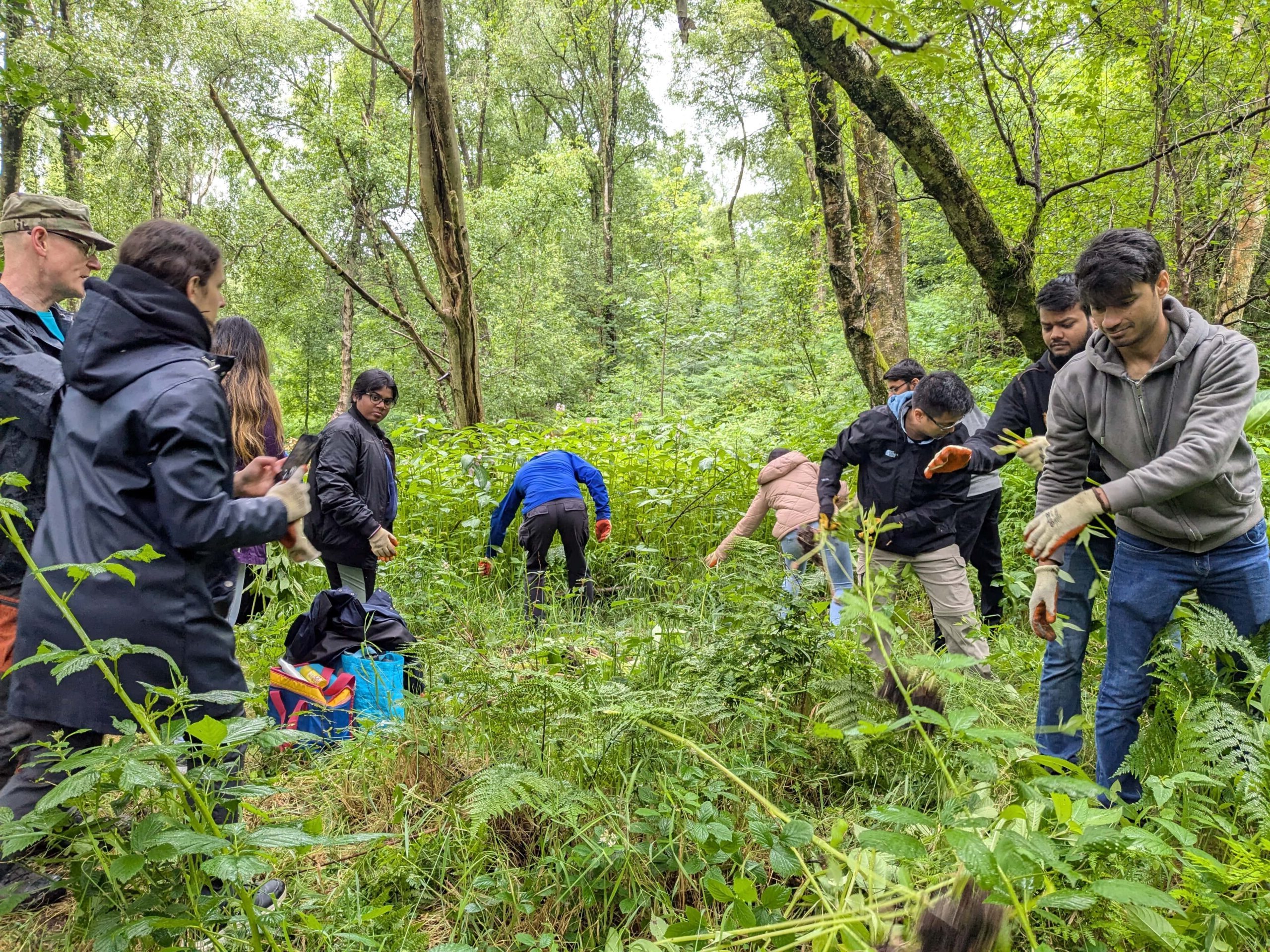 Corporate group pulling balsam