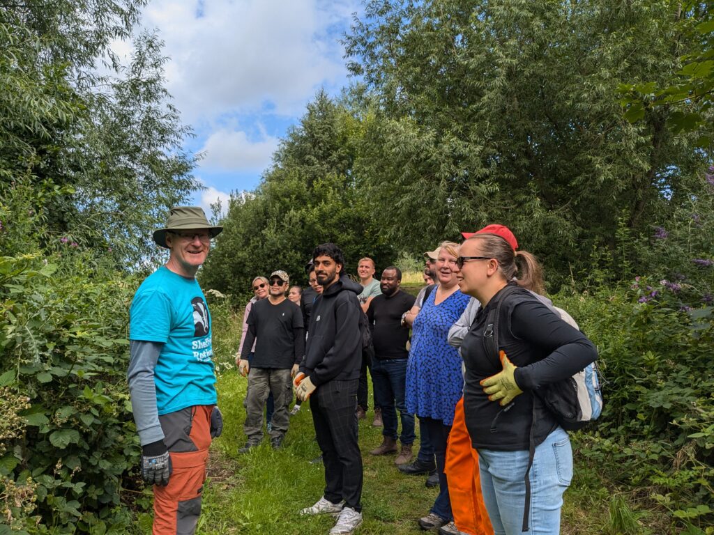 Pell Frischmann attend a Wild Work Day with Sheffield and Rotherham Wildlife Trust