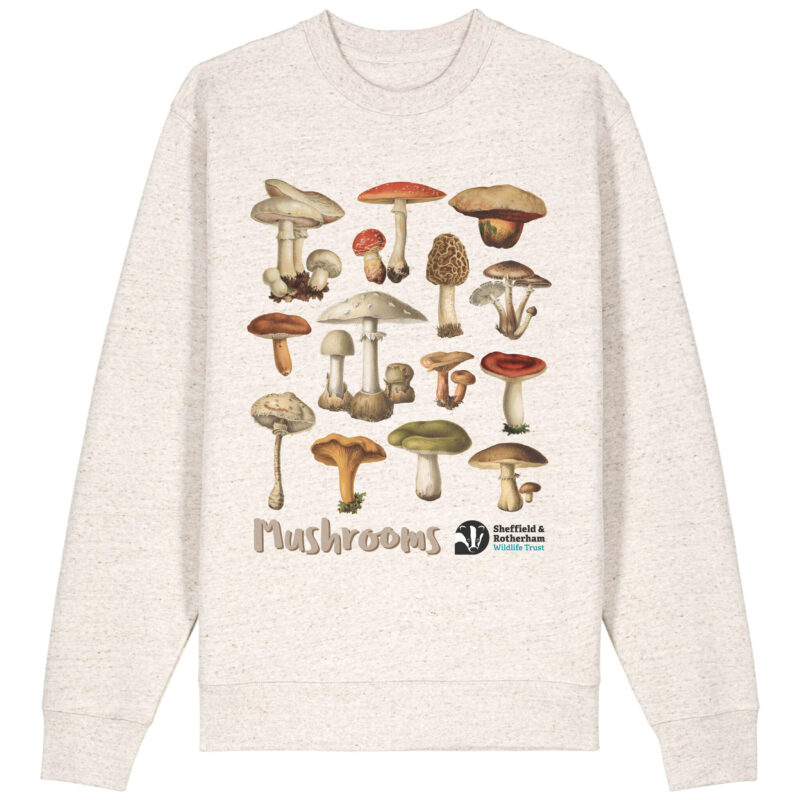 Mushrooms Premium Organic Sweatshirt Eco-Heather