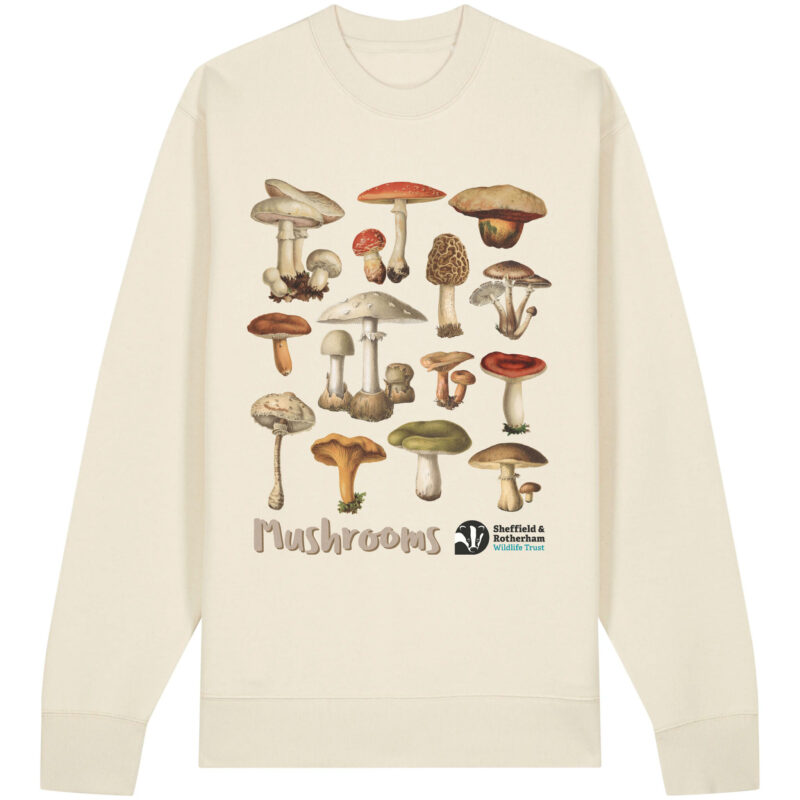 Mushrooms Premium Organic Sweatshirt: Natural Raw