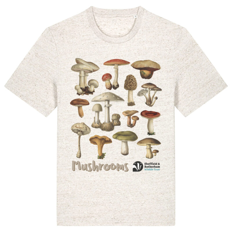 Mushrooms Premium Organic T-Shirt: Eco-Heather