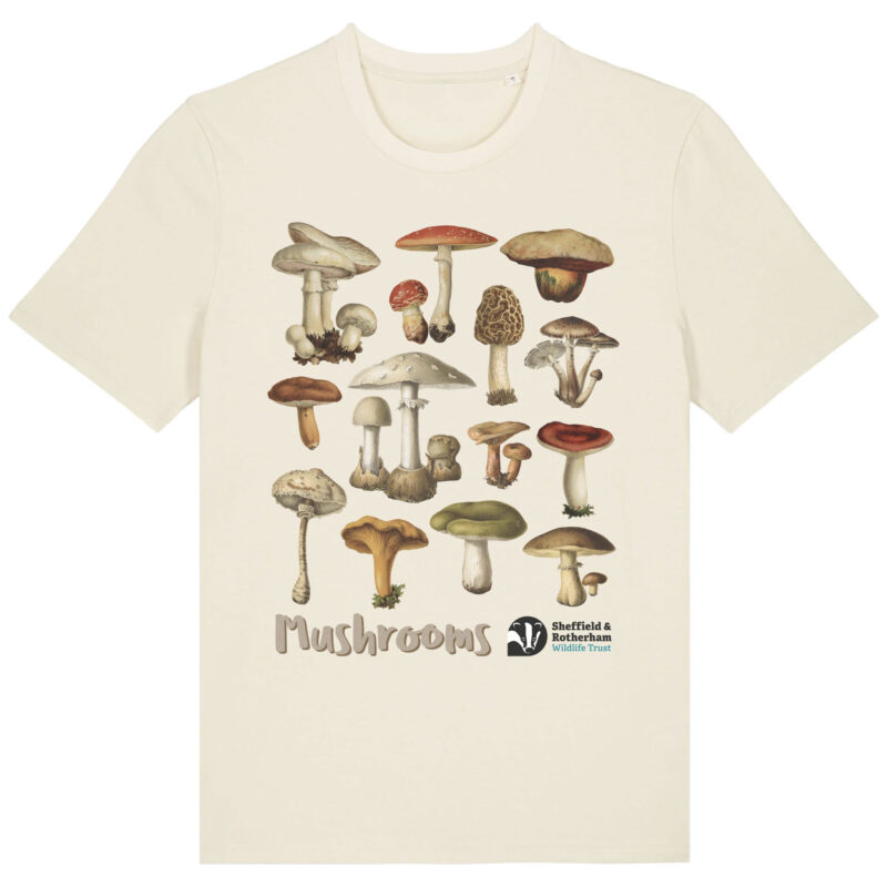 Mushrooms Premium Organic T-Shirt: Natural Raw