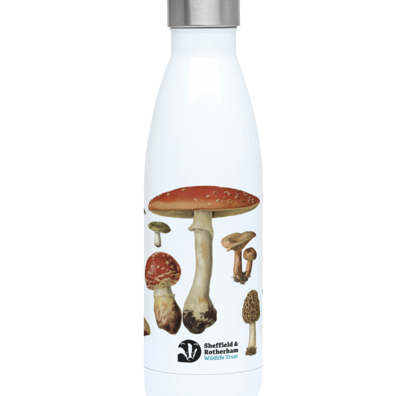 Mushrooms 500ml Water Bottle