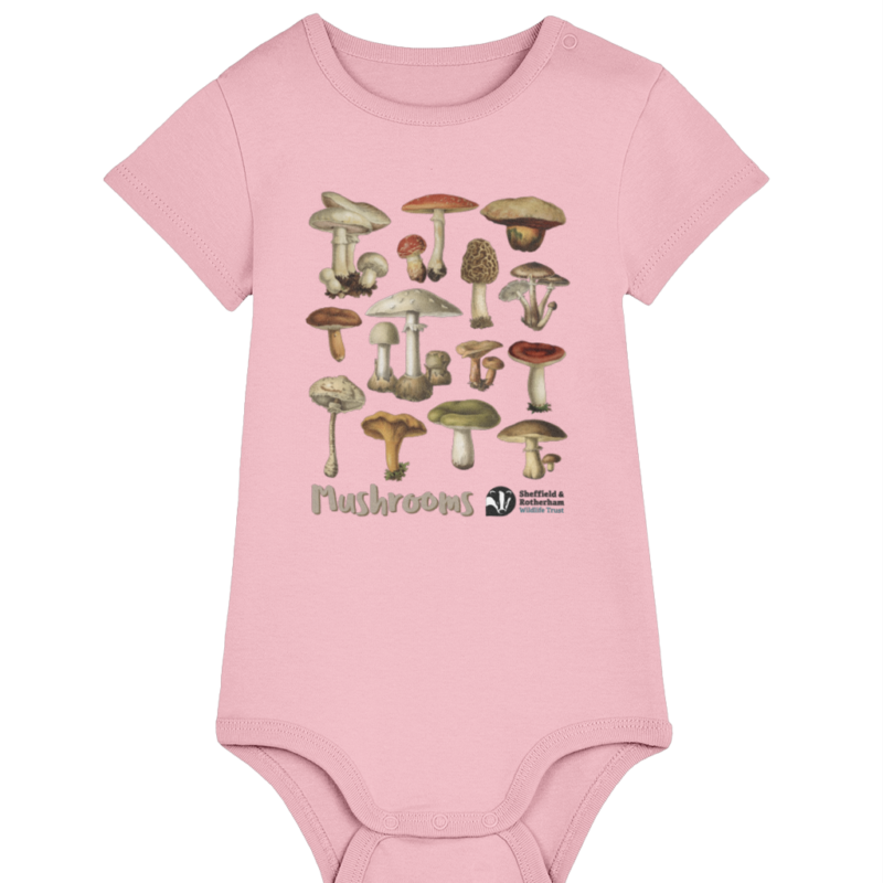 Mushrooms Premium Organic Baby Body Suit Cotton Pink
