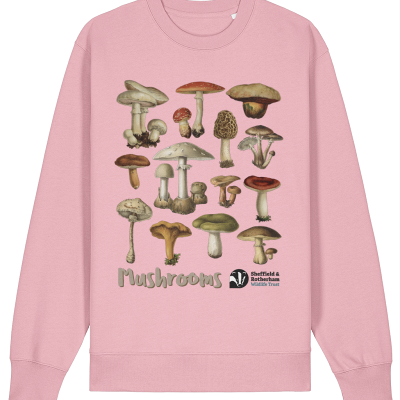 Mushrooms Premium Organic Sweatshirt: Cotton Pink