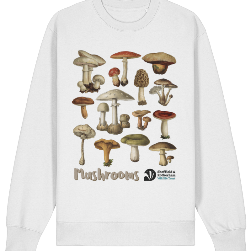 Mushrooms Premium Organic Sweatshirt: White
