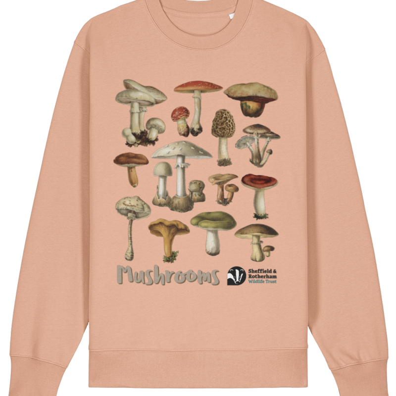 Mushrooms Premium Organic Sweatshirt: Fraiche Peche