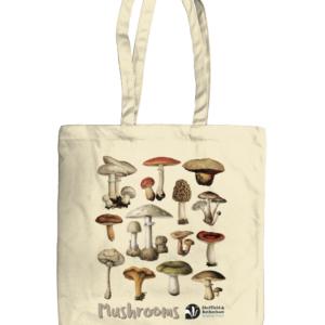 Mushrooms Illustration Organic Tote Bag - Natural
