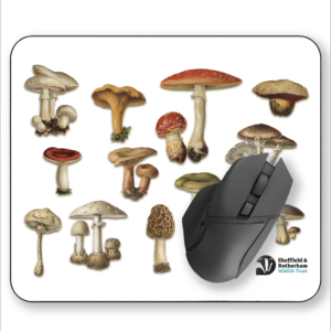 Mushrooms Mouse Mat