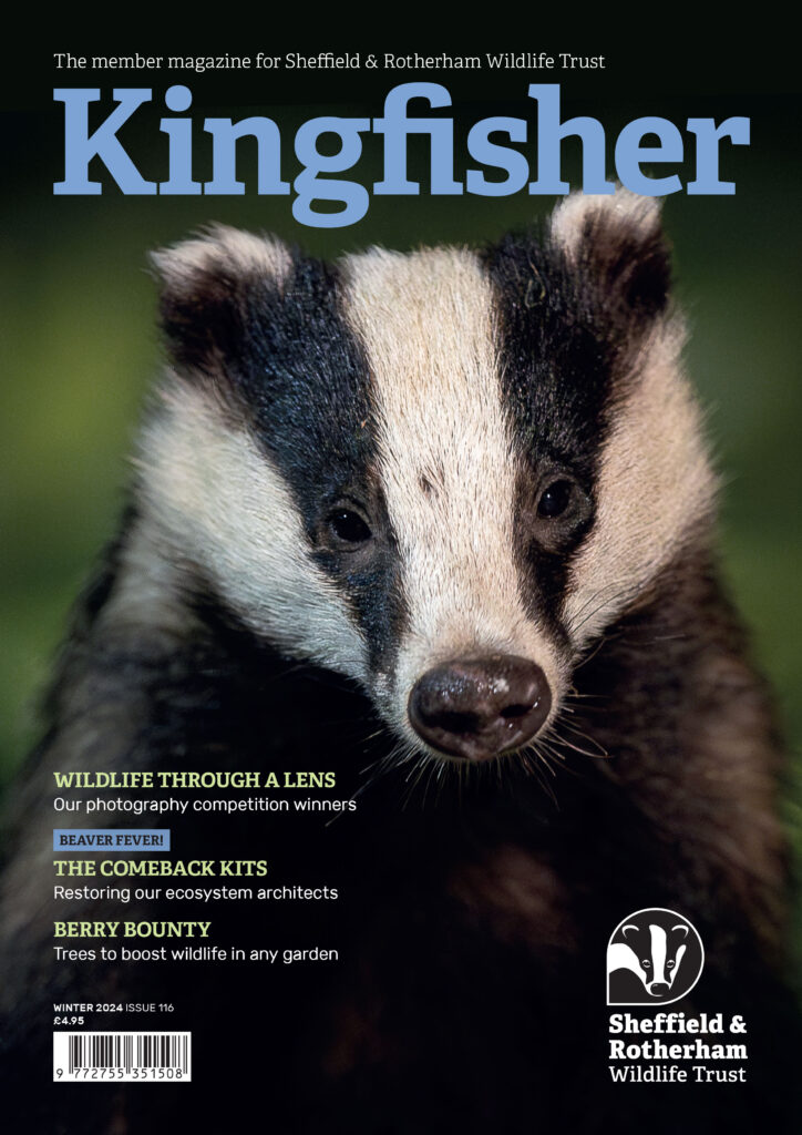 Kingfisher Magazine Issue 116, Winter 2024.