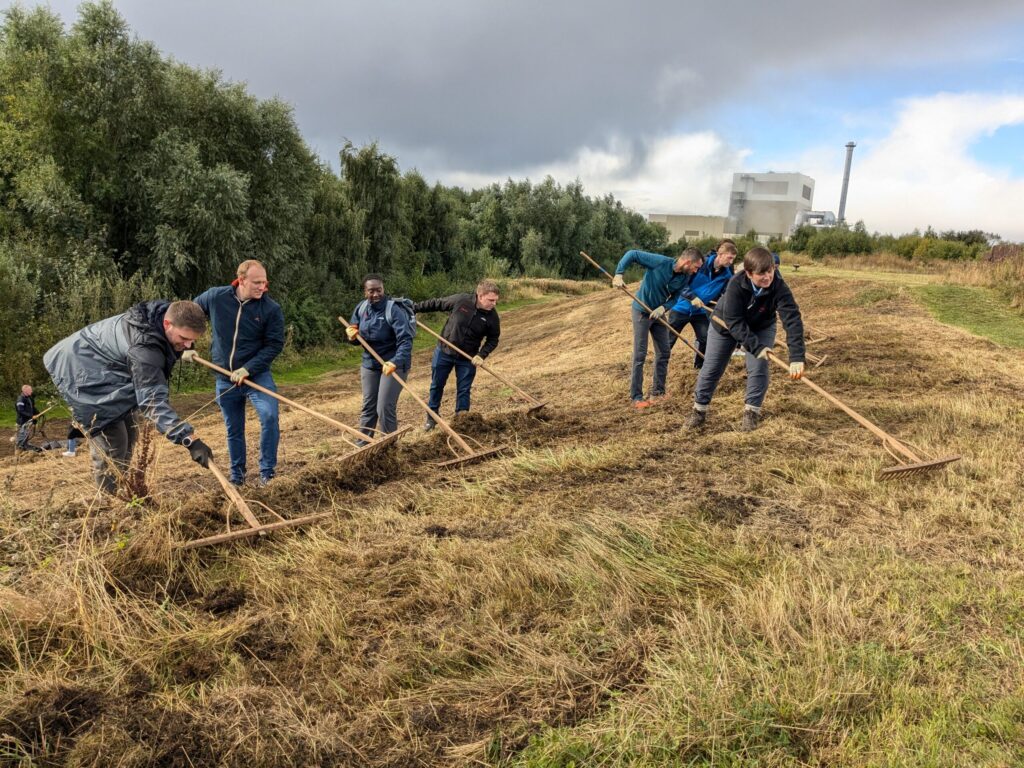 BOC and Sheffield and Rotherham Wildlife Trust meadow raking at Centenary Riverside