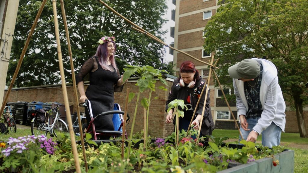 Residents creating a community garden.