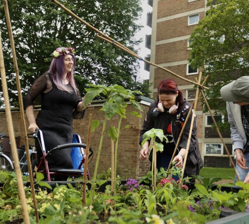 Residents creating a community garden.