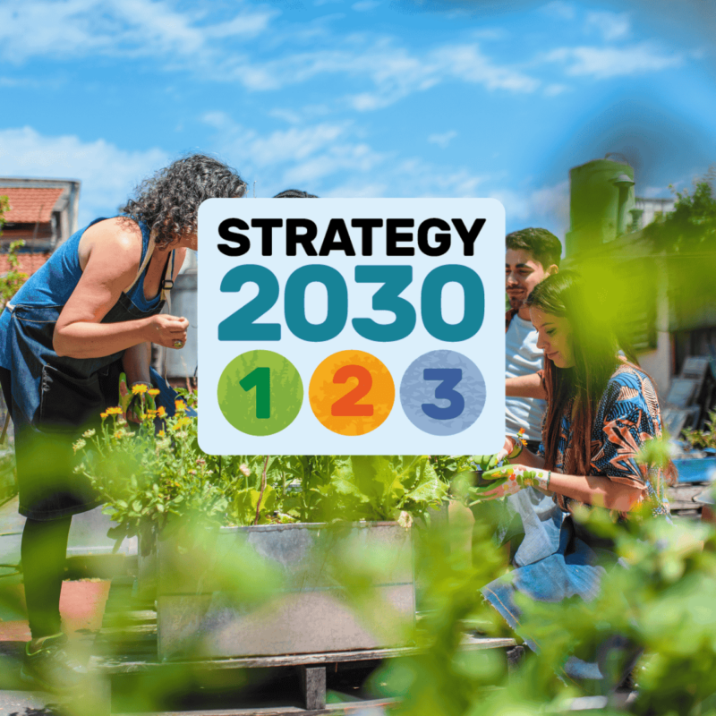 The Strategy 2030 logo