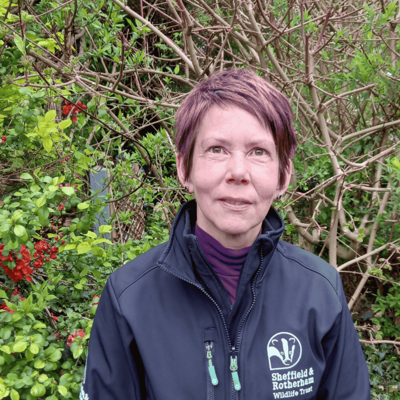 Liz Ballard is facing the camera. Behind her is a hedge.