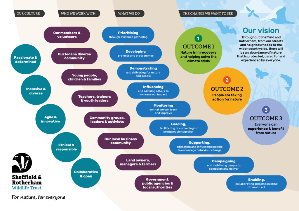 A diagram explaining the Theory of Change