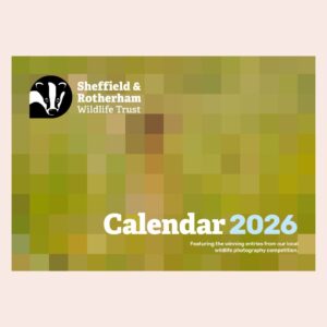 Calendar pre-sale teaser showing blurred ou front cover of Sheffield & Rotherham Wildlife trust Calendar 2026