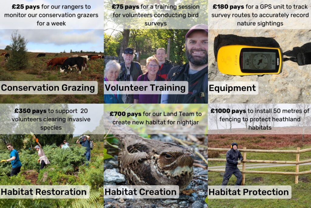 Image showing what donation could pay for from £25 to £1000