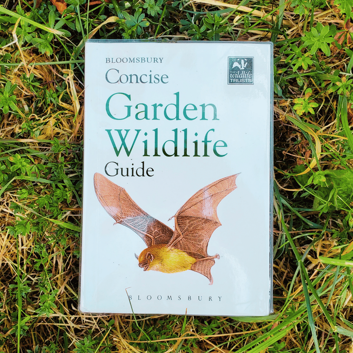 Concise Garden Wildlife Guide