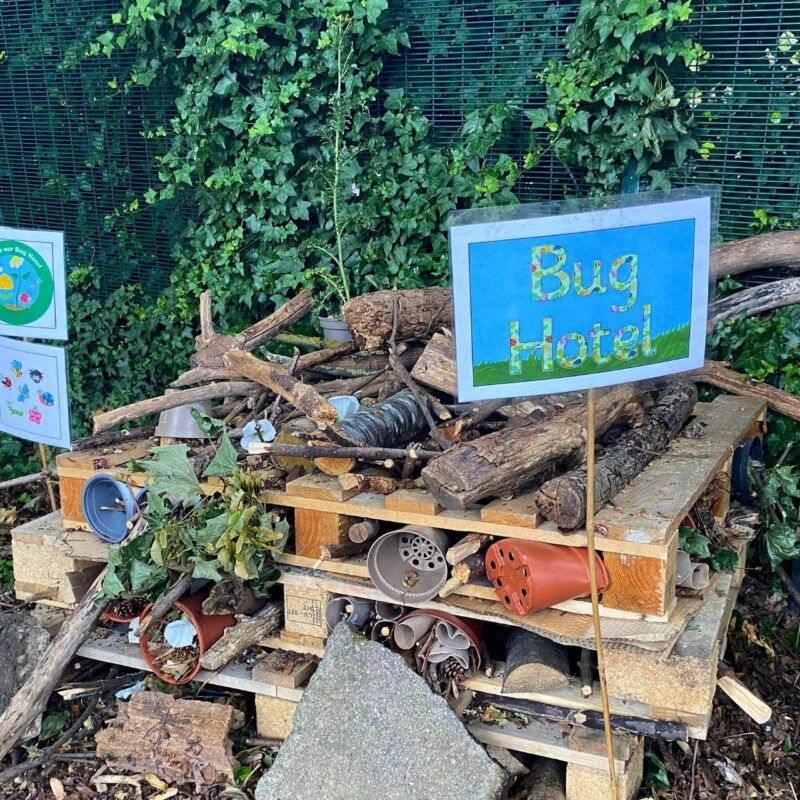 A bug hotel created in the school grounds at owler bar