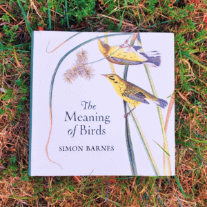 The Meaning of Birds book