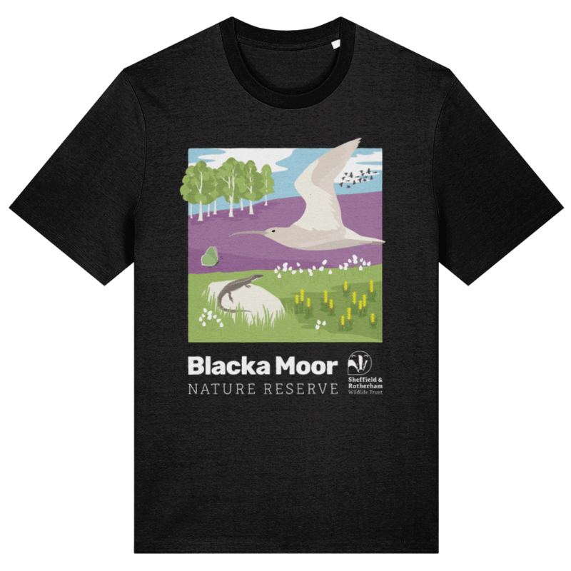 Blacka Moor T-Shirt in Black Colour